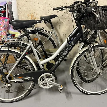 Palm View * Dziwnów