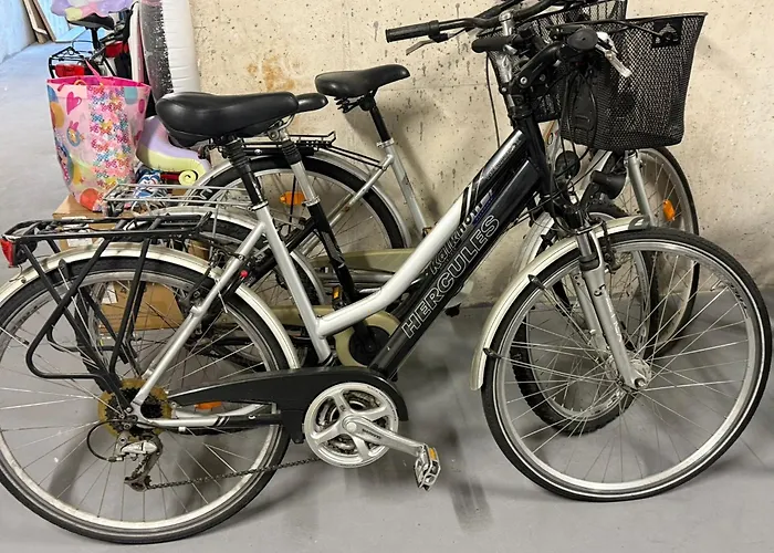 Palm View * Dziwnów